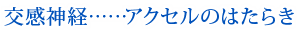 交感神経……アクセルのはたらき