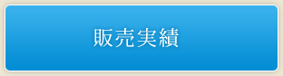 販売実績