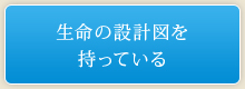 生命の設計図を持っている