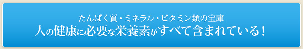 たんぱく質・ミネラル・ビタミン類の宝庫 人の健康に必要な栄養素がすべて含まれている！
