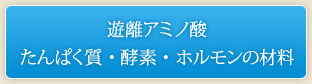 遊離アミノ酸 たんぱく質・酵素・ホルモンの材料