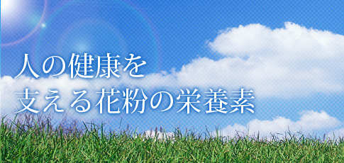 人の健康を支える花粉の栄養素